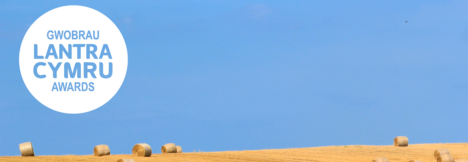 Haybales in field