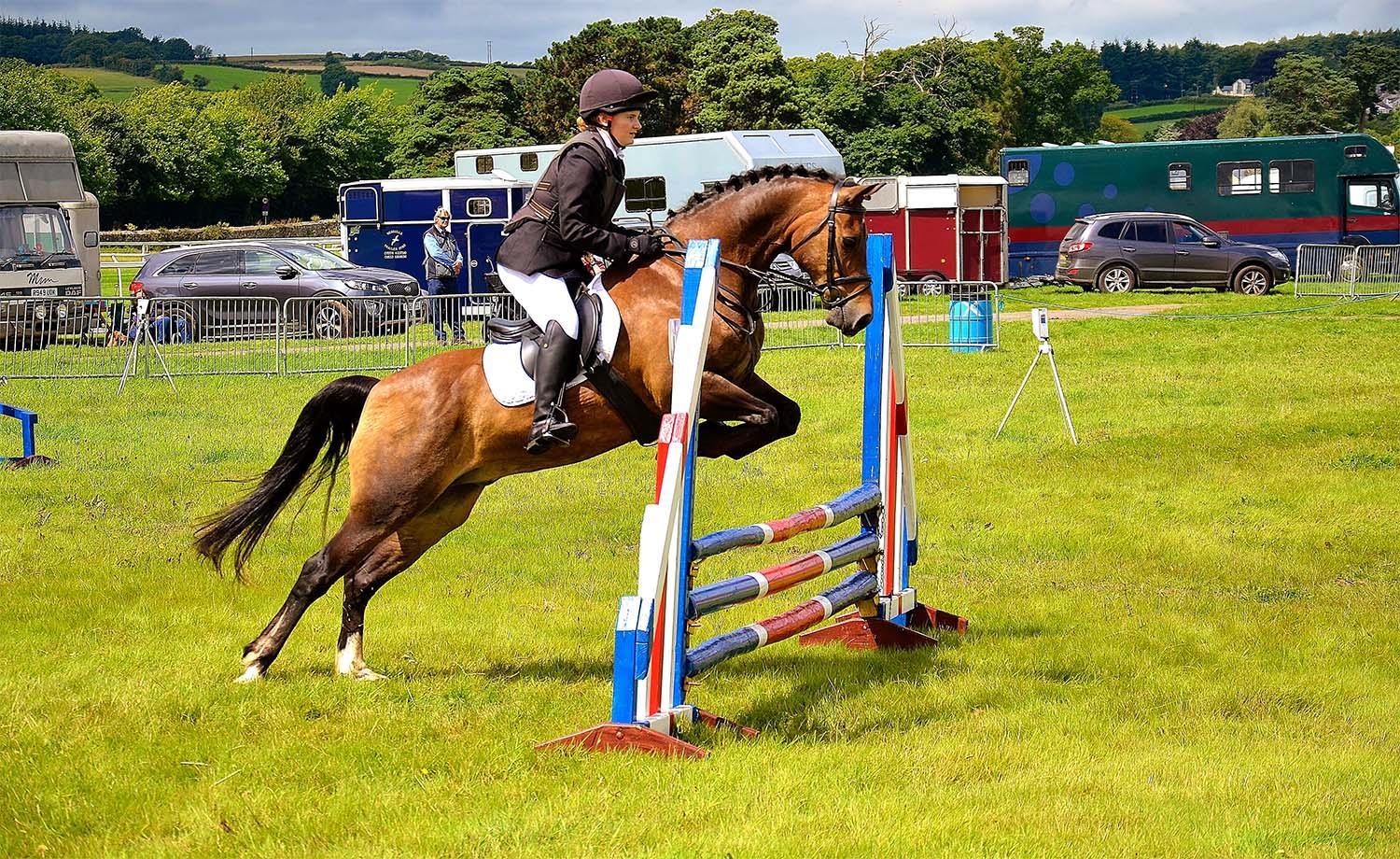 Horse jumping over an obstacle at an equine event
