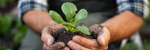 Horticulture Banner